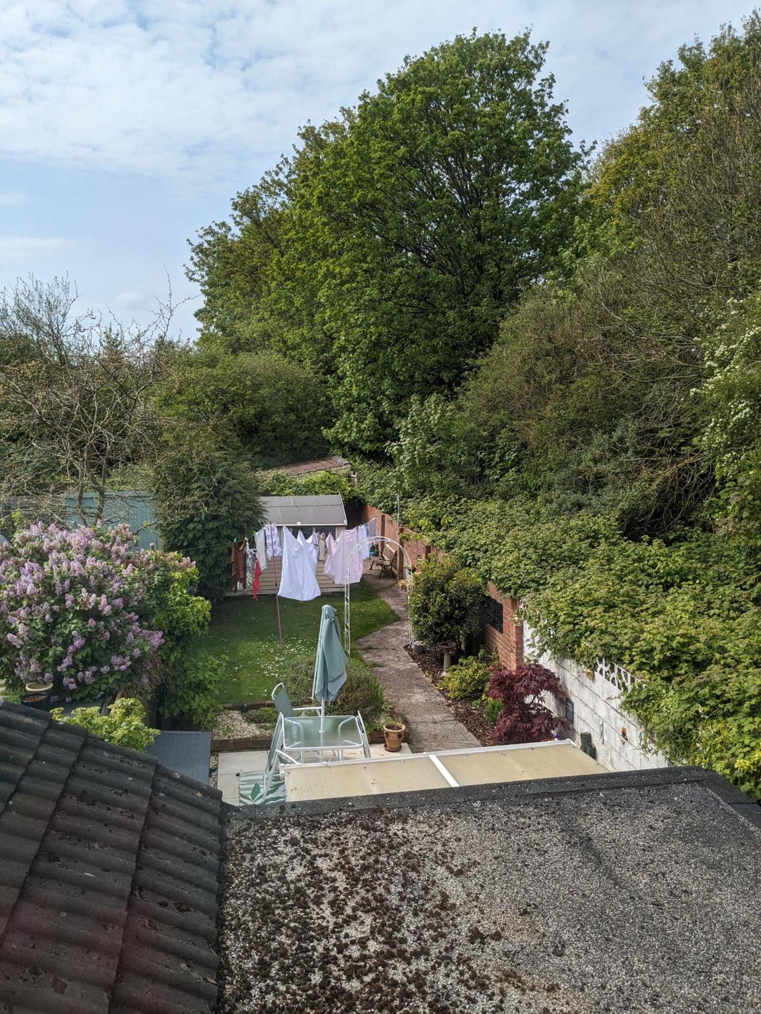 6 Trinity Grove Ella Street Hu5 3Bb Bed & Breakfast Kingston upon Hull ภายนอก รูปภาพ
